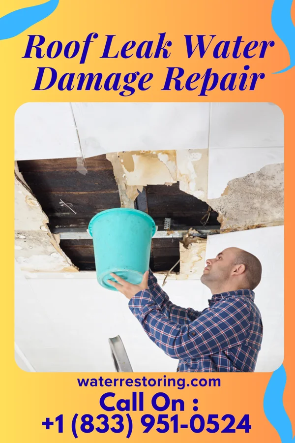 Roof Leak Water Damage Repair in Camas, MT